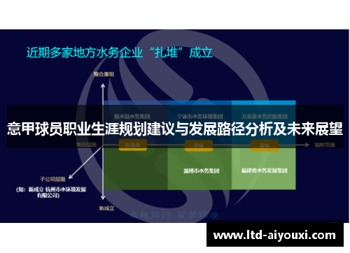 意甲球员职业生涯规划建议与发展路径分析及未来展望