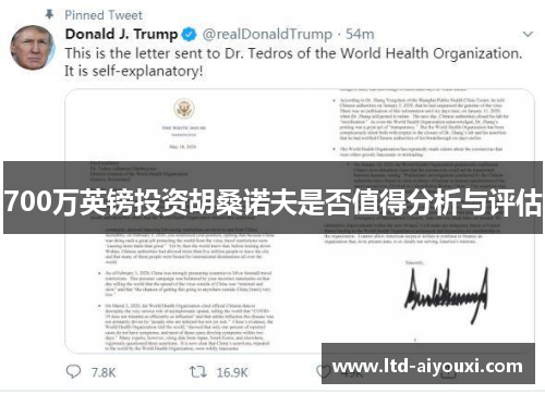 700万英镑投资胡桑诺夫是否值得分析与评估