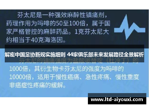 解密中国足协新规实施细则 44家俱乐部未来发展路径全景解析