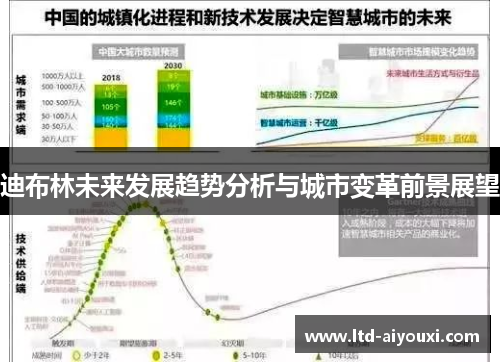 迪布林未来发展趋势分析与城市变革前景展望